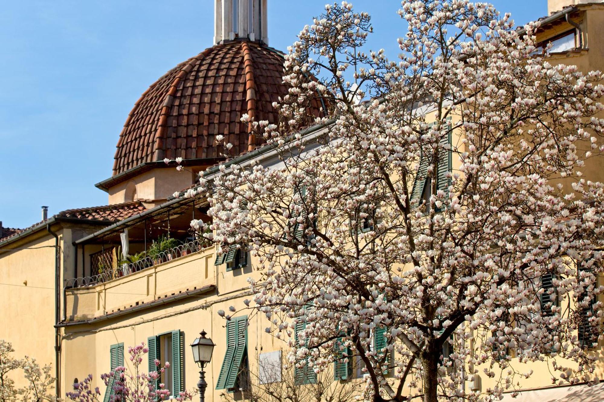 Casa San Girolamo Historic Flat With Cosy Terrace In Lucca'S City Centre Exterior foto